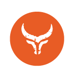 ping logo